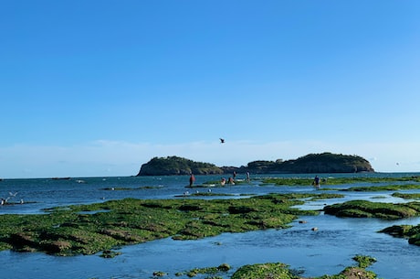 驰骋旅游网 刚开始他们一家人去了海南