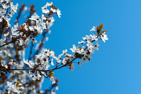 一场赏莲之旅——莲花山公园